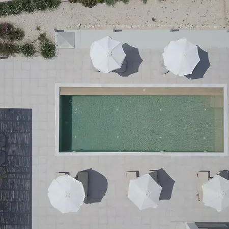 Olive Garden Luxury شقة *