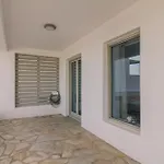 Olive Garden Luxury Appartement *